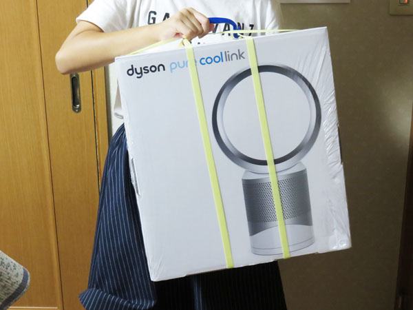 Dyson Pure Cool Link テーブルファン 空気洗浄機能付 DP01WS（ホワイト/シルバー）
